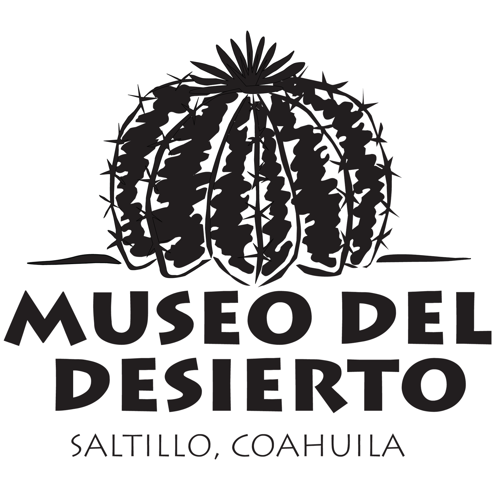 Museo del Desierto